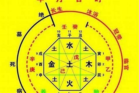 八字用神怎么看|八字用神详解之如何取用神（详细）